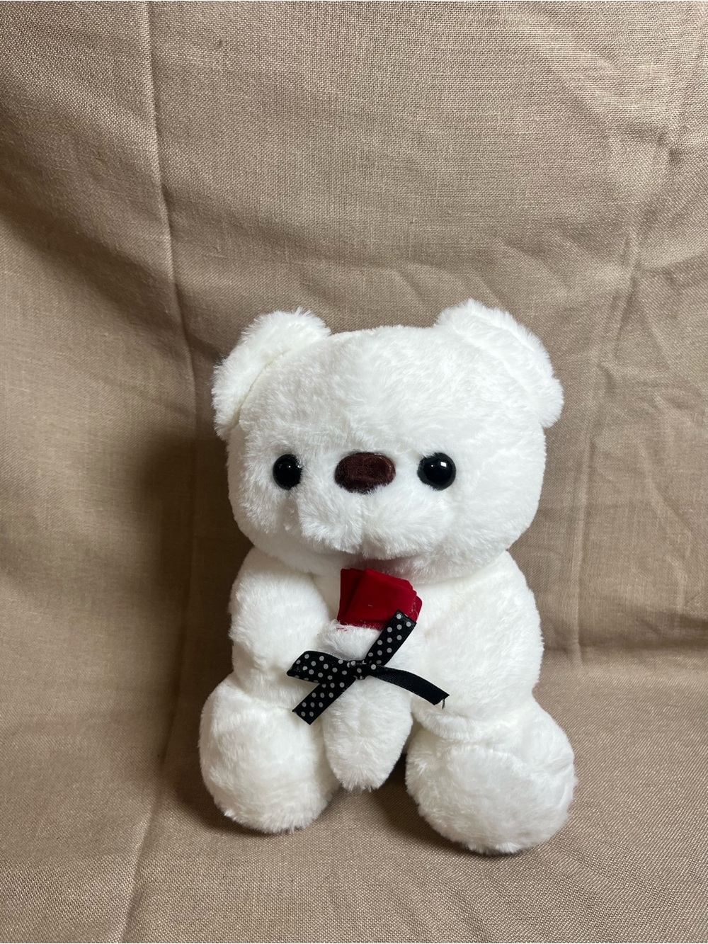 White Plush Teddy Bear with Red Rose Accent